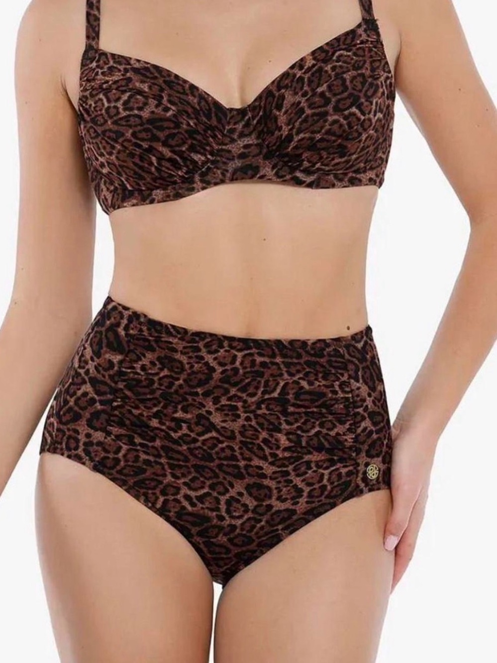 Leopard Print High-Waist Bikini Bottom and Underwire Top - Brown